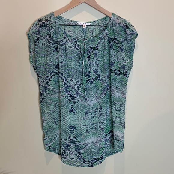 CAbi Darby semi sheer top - Picture 3 of 7